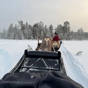 przewodnik po Laponii